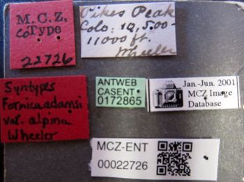 Media type: image;   Entomology 22726 Aspect: labels